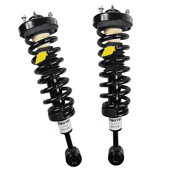 Shoxtec Front Complete Struts Assembly for 2004 - 2008 Ford F-150 4WD ; 2006 - 2008 Lincoln Mark LT Coil Spring Shock Absorber Repl. Part No. 171361