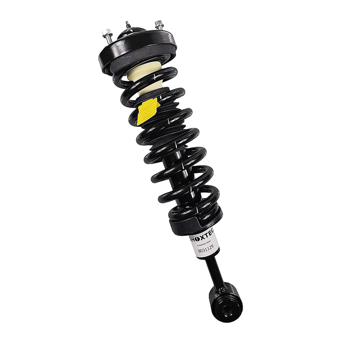 Shoxtec Front Complete Struts Assembly for 2004 - 2008 Ford F-150 4WD ; 2006 - 2008 Lincoln Mark LT Coil Spring Shock Absorber Repl. Part No. 171361